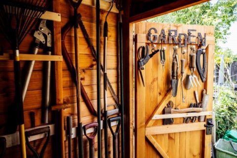 15 Essential Tools Every Shed Should Have