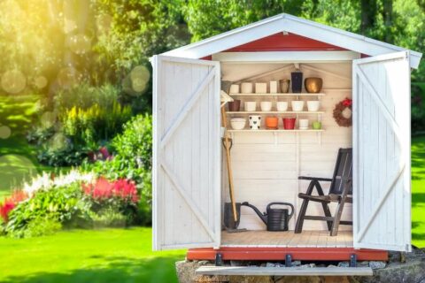 How to Keep Your Shed in Top Shape